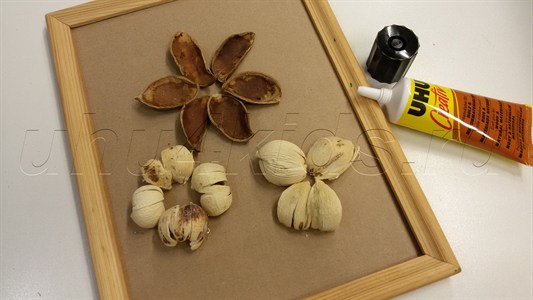 ����� �� ��������� ����������